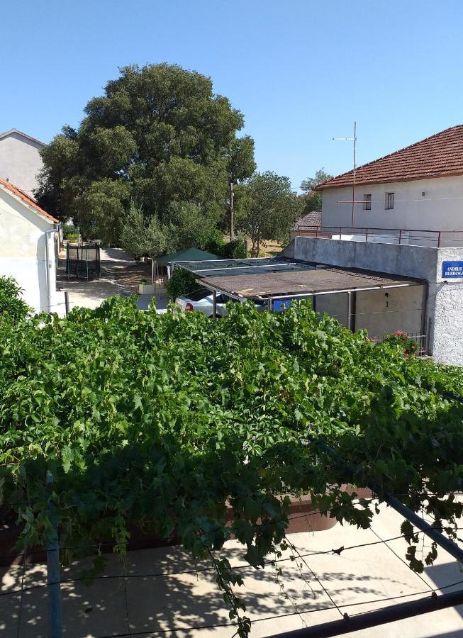 Apartments Jelicic Biograd Na Moru Eksteriør bilde