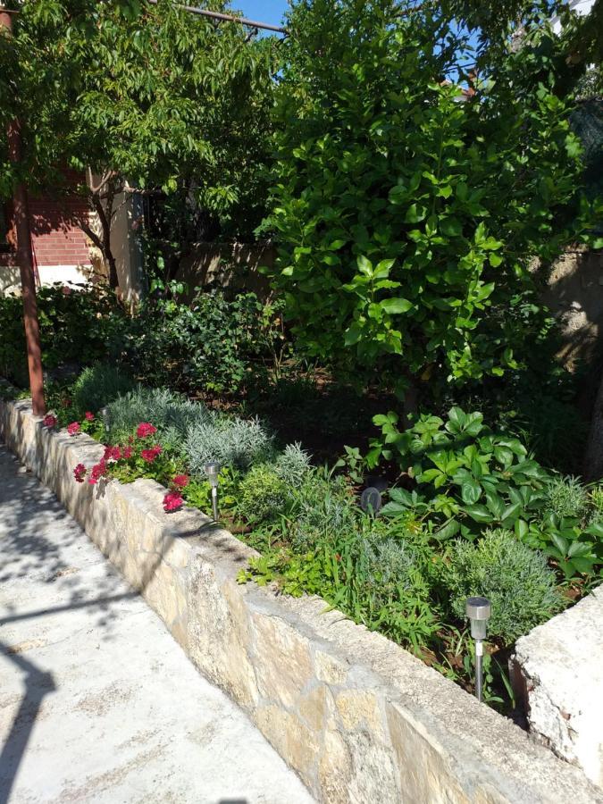Apartments Jelicic Biograd Na Moru Eksteriør bilde