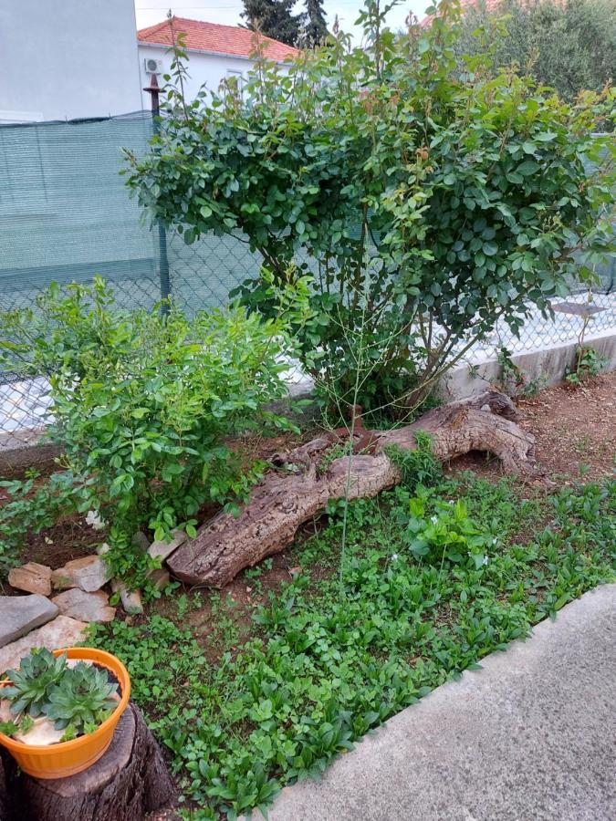 Apartments Jelicic Biograd Na Moru Eksteriør bilde
