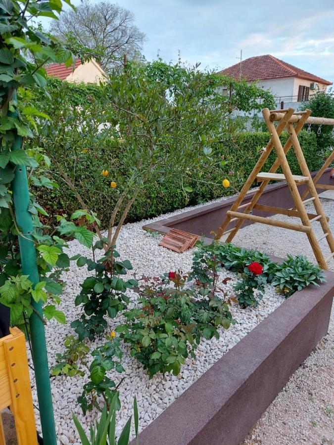 Apartments Jelicic Biograd Na Moru Eksteriør bilde