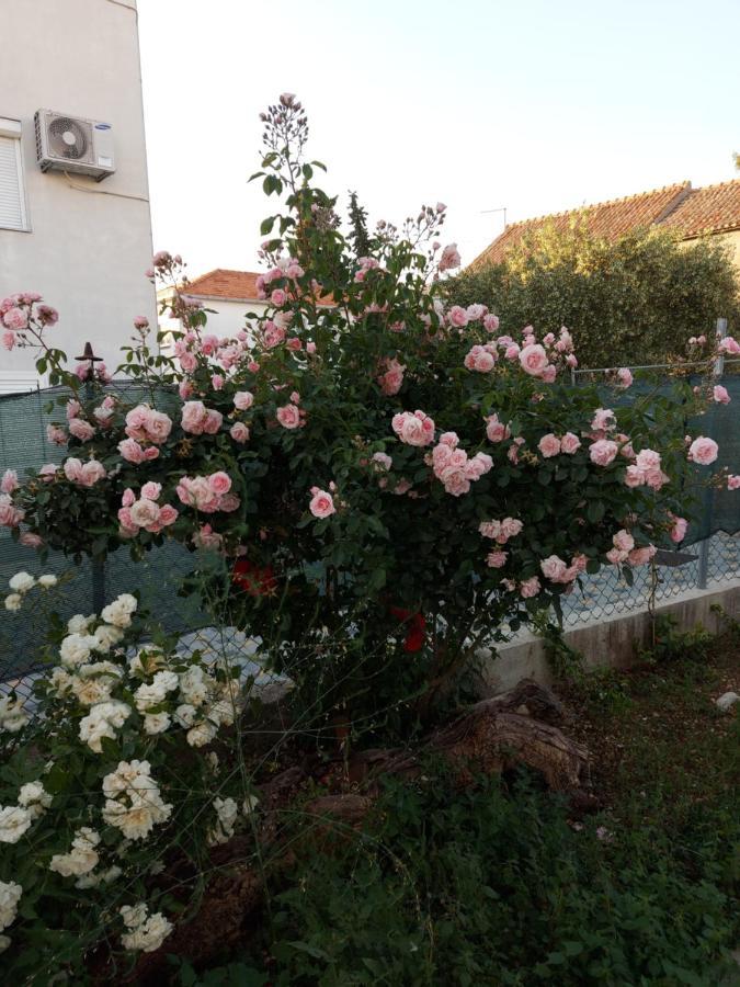Apartments Jelicic Biograd Na Moru Eksteriør bilde